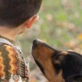 Maringa-tera-‘pet-servidor-publico-para-atender-criancas-autistas